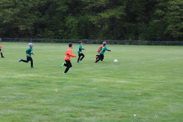 11.05.2019 1. FC Pirna vs. SV Chemie Dohna