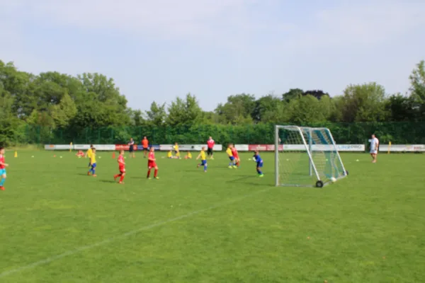 15.06.2019 SV Pesterwitz II vs. 1. FC Pirna II