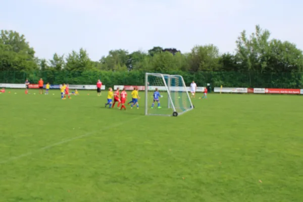 15.06.2019 SV Pesterwitz II vs. 1. FC Pirna II