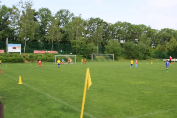 15.06.2019 SV Pesterwitz II vs. 1. FC Pirna II