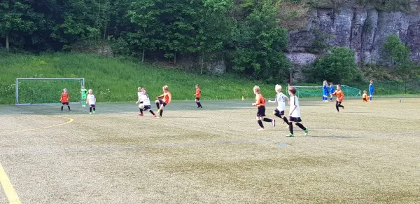 25.05.2019 Hainsberger SV vs. 1. FC Pirna