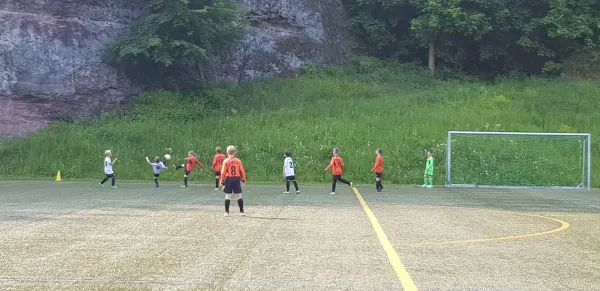 25.05.2019 Hainsberger SV vs. 1. FC Pirna