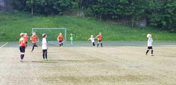 25.05.2019 Hainsberger SV vs. 1. FC Pirna