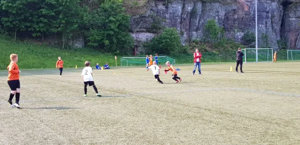 25.05.2019 Hainsberger SV vs. 1. FC Pirna