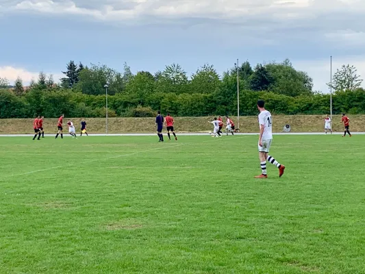 03.08.2019 1. FC Pirna vs. Dresdner SC 1898