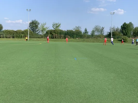 31.08.2019 1. FC Pirna vs. SV Pesterwitz