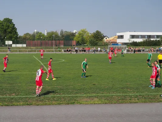 25.08.2019 1. FC Pirna vs. Graupa/Wesen./Wehlen
