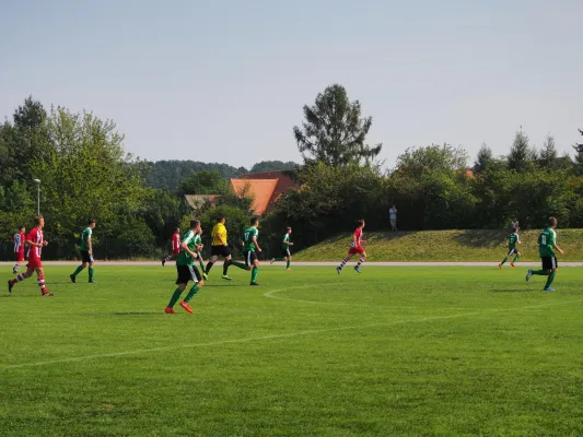 25.08.2019 1. FC Pirna vs. Graupa/Wesen./Wehlen