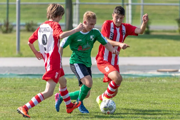 25.08.2019 1. FC Pirna vs. Graupa/Wesen./Wehlen