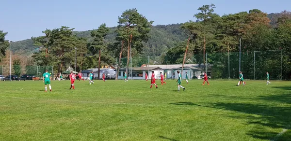 25.08.2019 Pillnitz/Schönfeld vs. 1. FC Pirna
