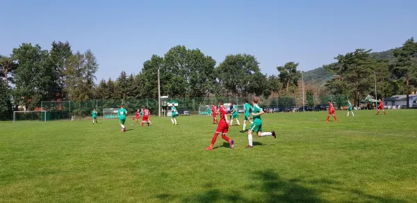 25.08.2019 Pillnitz/Schönfeld vs. 1. FC Pirna