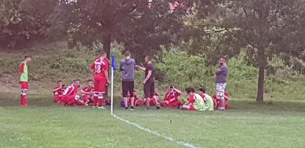 20.08.2019 Wesen./Birkw./Lohm. vs. 1. FC Pirna