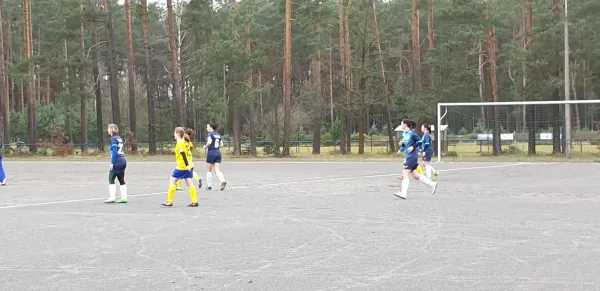 08.03.2020 Lomnitzer SV vs. 1. FC Pirna