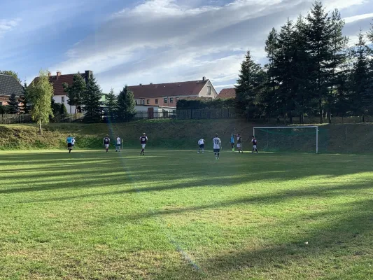 04.10.2020 FSV Dippoldiswalde vs. 1. FC Pirna
