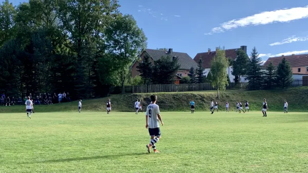 04.10.2020 FSV Dippoldiswalde vs. 1. FC Pirna