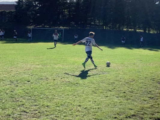 04.10.2020 FSV Dippoldiswalde vs. 1. FC Pirna