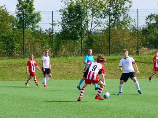 06.09.2020 1. FC Pirna vs. Brand-Erbisdorf
