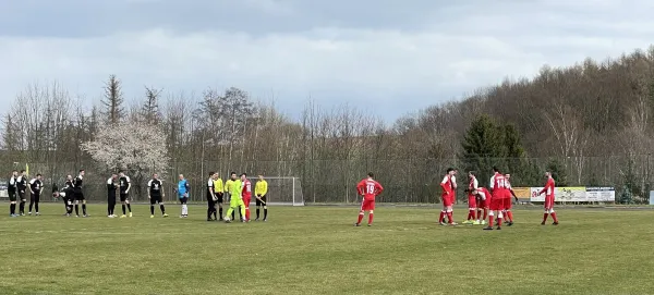 03.04.2022 SV Rabenau vs. 1. FC Pirna