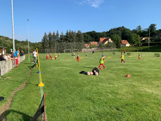 04.09.2022 SV Struppen vs. 1. FC Pirna