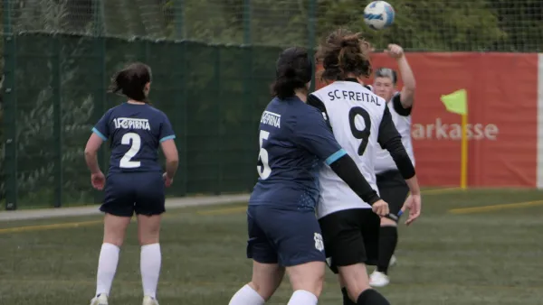 18.09.2022 SC Freital vs. 1. FC Pirna