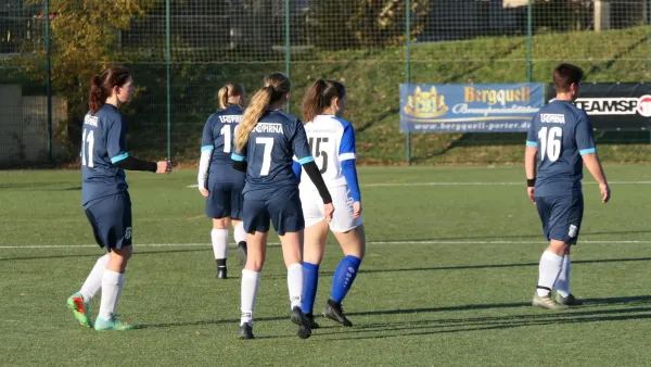 13.11.2022 Langburkersdorf vs. 1. FC Pirna