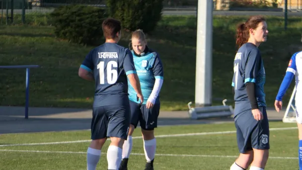 13.11.2022 Langburkersdorf vs. 1. FC Pirna