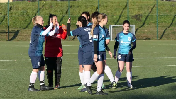 13.11.2022 Langburkersdorf vs. 1. FC Pirna