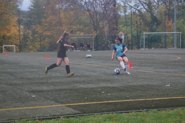 31.10.2023 SC Freital vs. 1. FC Pirna