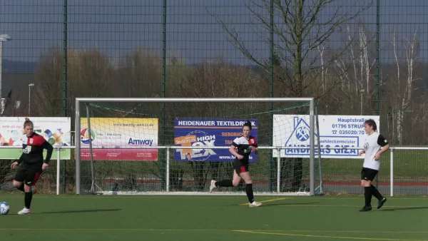 03.03.2024 1. FC Pirna vs. SC Freital