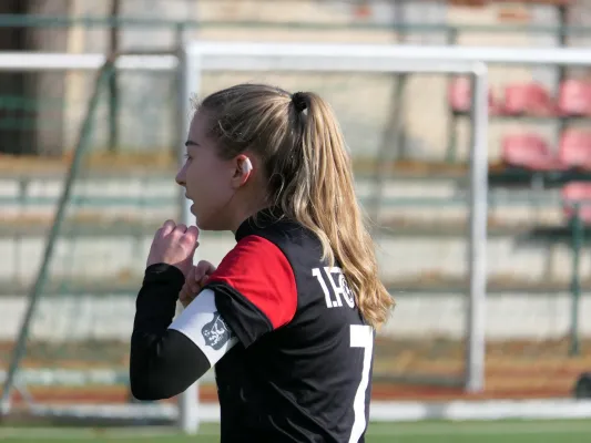 19.10.2025 Serkowitzer FSV 3. vs. 1. FC Pirna