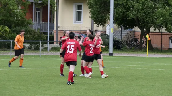 14.06.2026 SV Johannstadt 90 e.V. vs. 1. FC Pirna