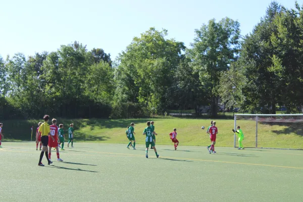29.08.2026 1. FC Pirna vs. SV Chemie Dohna