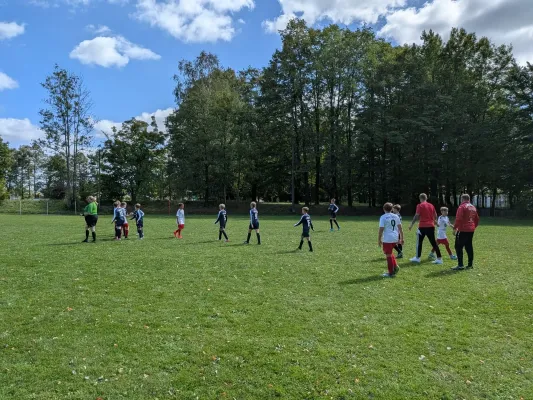06.09.2026 Hohnsteiner SV II vs. 1. FC Pirna II