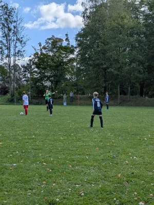 06.09.2026 Hohnsteiner SV II vs. 1. FC Pirna II
