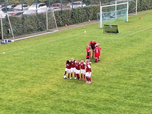 04.10.2026 SV Chemie Dohna vs. 1. FC Pirna