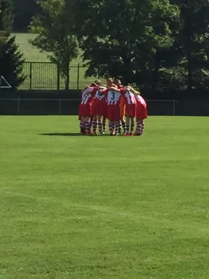 30.08.2015 Brand-Erbisdorf/Lang vs. 1. FC Pirna