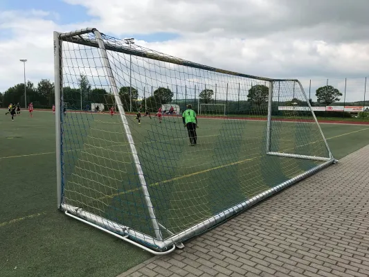 20.05.2017 Dips./Rab./Seif. vs. 1. FC Pirna