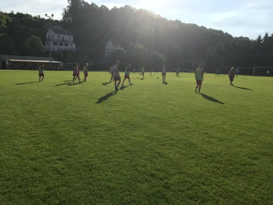 31.05.2017 SV Struppen vs. 1. FC Pirna