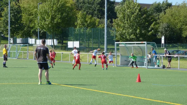 27.08.2016 1. FC Pirna vs. Liebstädter SV