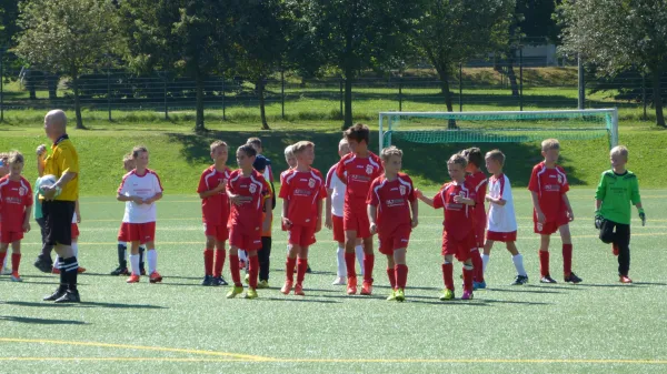 27.08.2016 1. FC Pirna vs. Liebstädter SV