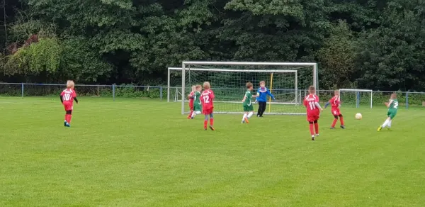 16.09.2017 1. FC Pirna II vs. SV Wesenitztal
