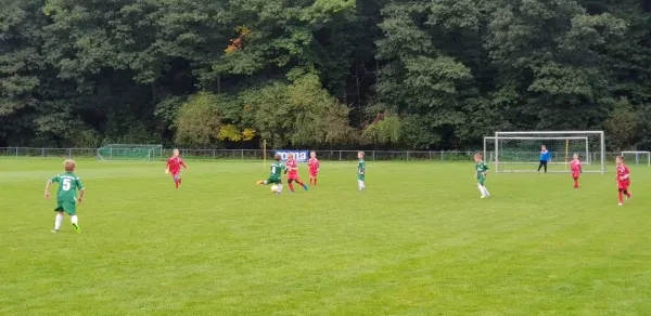 16.09.2017 1. FC Pirna II vs. SV Wesenitztal
