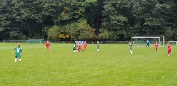 16.09.2017 1. FC Pirna II vs. SV Wesenitztal