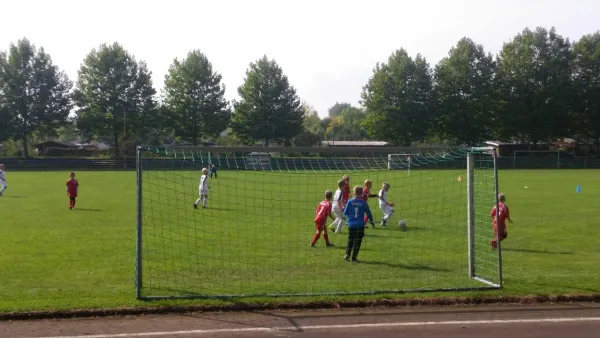 23.09.2017 VfL Pirna-Copitz 07 II vs. 1. FC Pirna II