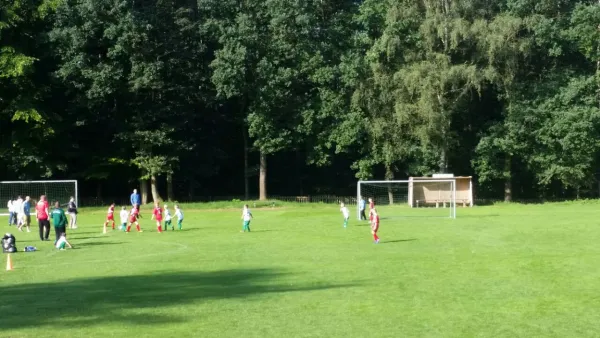 20.08.2017 SG Ullersdorf vs. 1. FC Pirna