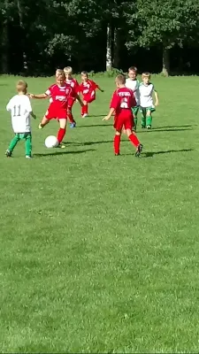 20.08.2017 SG Ullersdorf vs. 1. FC Pirna