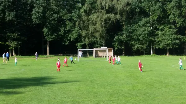 20.08.2017 SG Ullersdorf vs. 1. FC Pirna