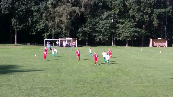 20.08.2017 SG Ullersdorf vs. 1. FC Pirna
