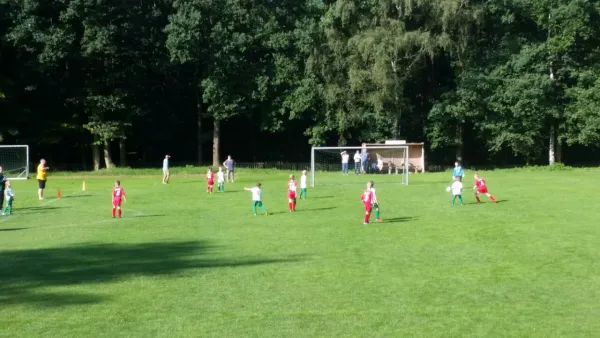 20.08.2017 SG Ullersdorf vs. 1. FC Pirna