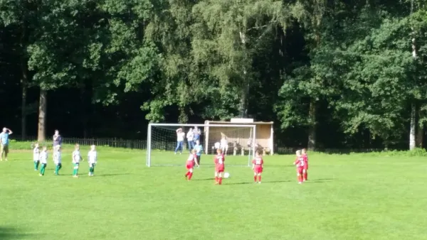 20.08.2017 SG Ullersdorf vs. 1. FC Pirna